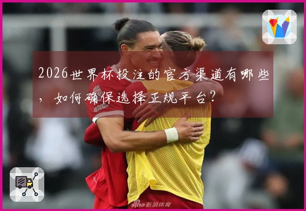 2026世界杯投注的官方渠道有哪些，如何确保选择正规平台？