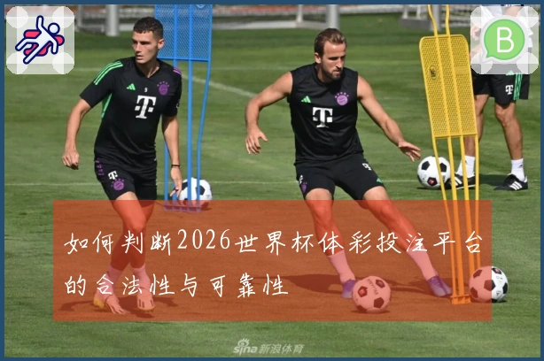 如何判断2026世界杯体彩投注平台的合法性与可靠性