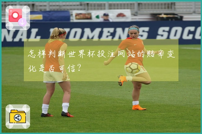 怎样判断世界杯投注网站的赔率变化是否可信?