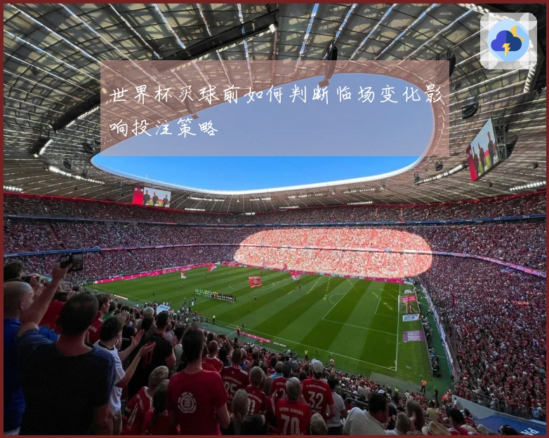 世界杯买球前如何判断临场变化影响投注策略