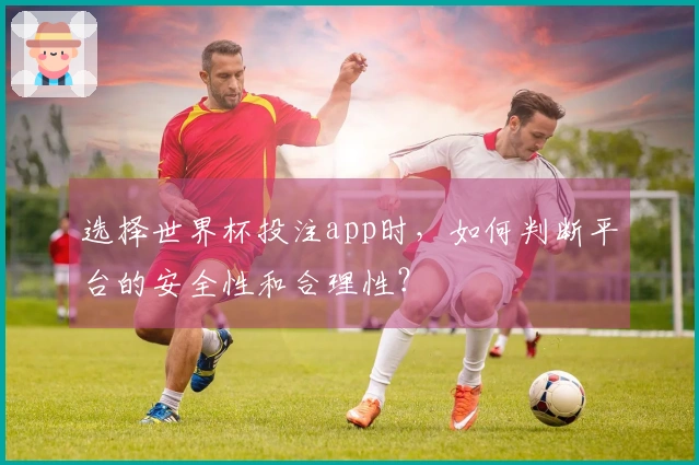 选择世界杯投注app时，如何判断平台的安全性和合理性？