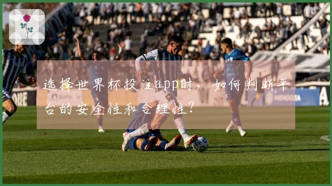 选择世界杯投注app时，如何判断平台的安全性和合理性？