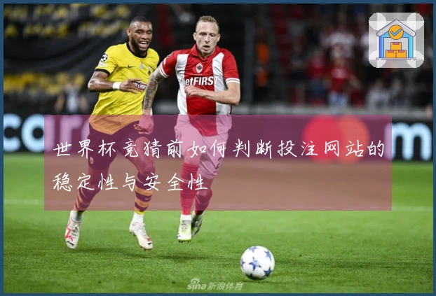 世界杯竞猜前如何判断投注网站的稳定性与安全性