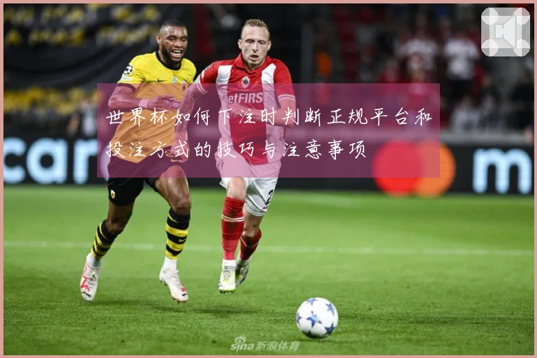 世界杯如何下注时判断正规平台和投注方式的技巧与注意事项