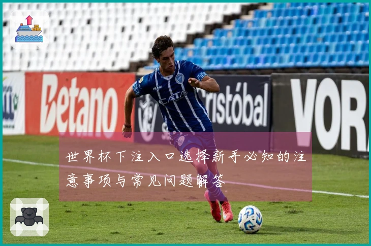 世界杯下注入口选择新手必知的注意事项与常见问题解答