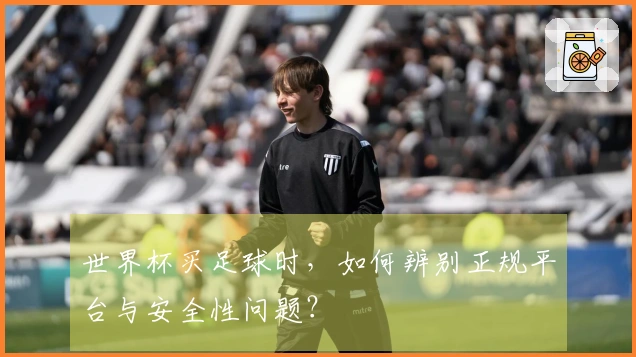 世界杯买足球时，如何辨别正规平台与安全性问题？