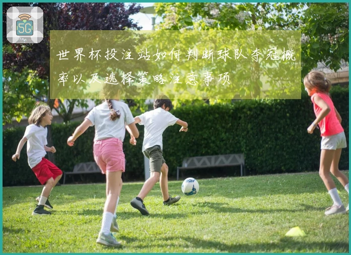 世界杯投注站如何判断球队夺冠概率以及选择策略注意事项