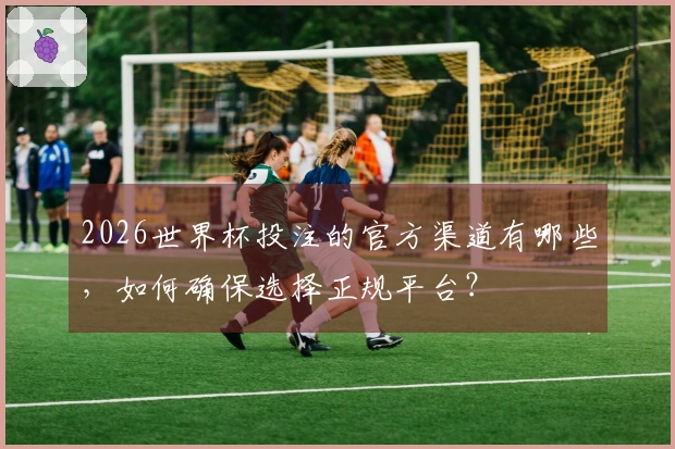2026世界杯投注的官方渠道有哪些，如何确保选择正规平台？