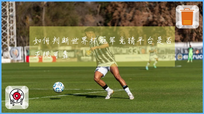 如何判断世界杯冠军竞猜平台是否正规可靠