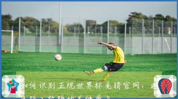 如何识别正规世界杯竞猜官网，避免踩入陷阱的关键要点