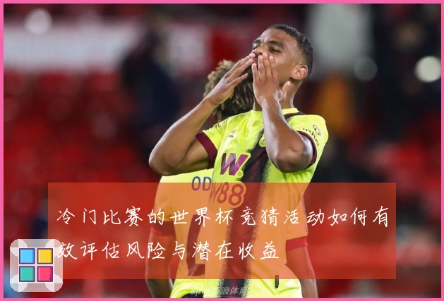 冷门比赛的世界杯竞猜活动如何有效评估风险与潜在收益