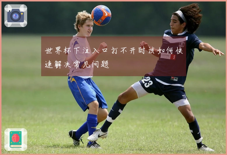 世界杯下注入口打不开时该如何快速解决常见问题