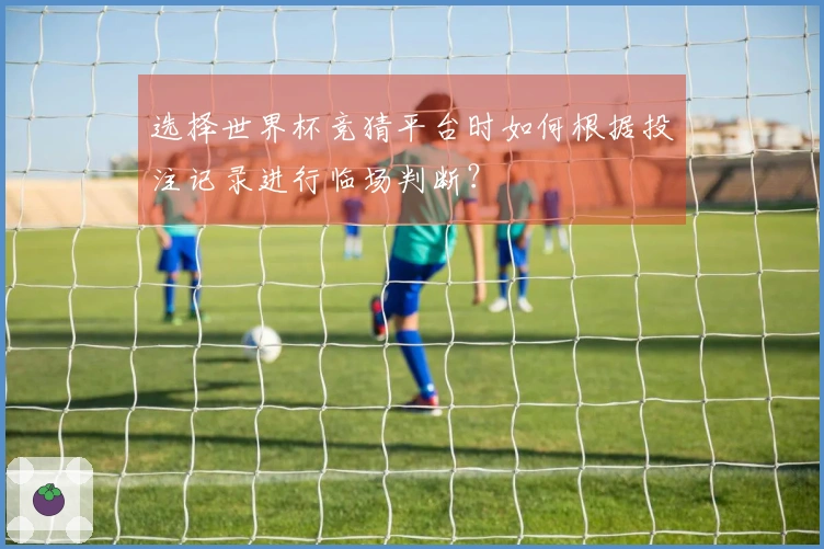 选择世界杯竞猜平台时如何根据投注记录进行临场判断？