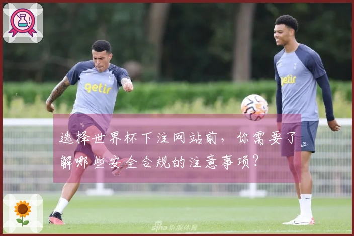 选择世界杯下注网站前，你需要了解哪些安全合规的注意事项？