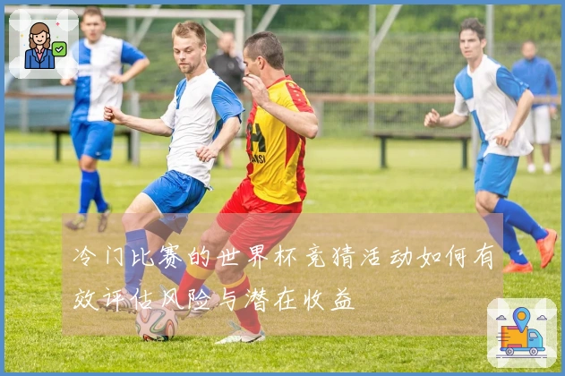 冷门比赛的世界杯竞猜活动如何有效评估风险与潜在收益