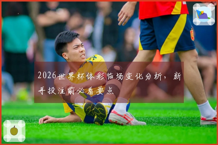 2026世界杯体彩临场变化分析,新手投注前必看要点