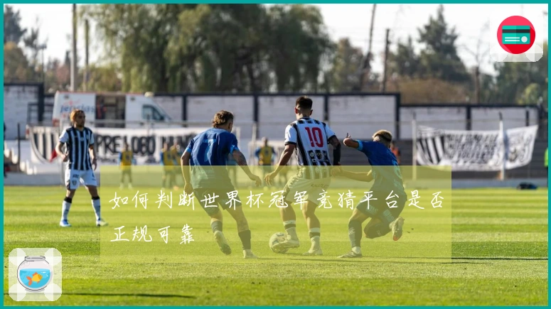 如何判断世界杯冠军竞猜平台是否正规可靠