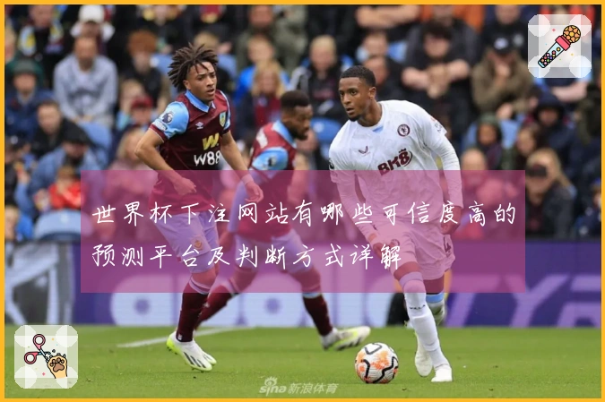 世界杯下注网站有哪些可信度高的预测平台及判断方式详解
