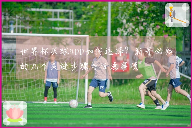 世界杯买球app如何选择?新手必知的几个关键步骤与注意事项