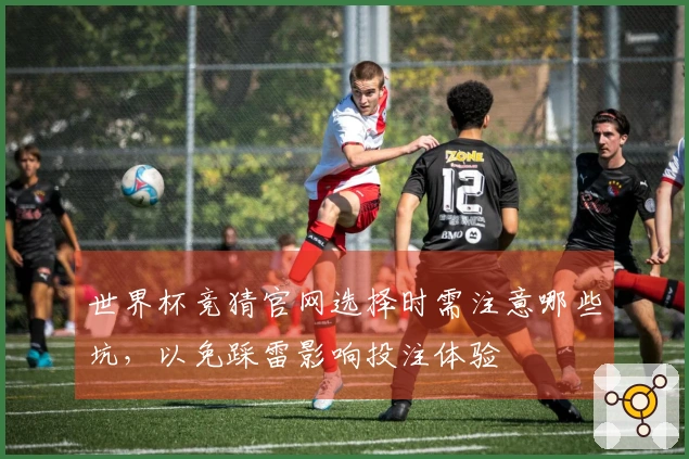 世界杯竞猜官网选择时需注意哪些坑，以免踩雷影响投注体验