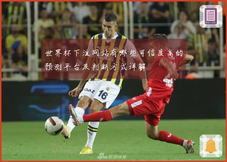 世界杯下注网站有哪些可信度高的预测平台及判断方式详解