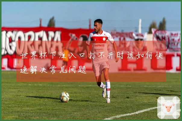 世界杯下注入口打不开时该如何快速解决常见问题