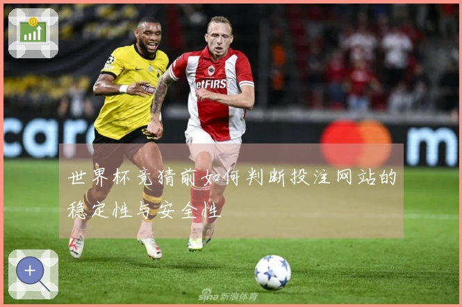 世界杯竞猜前如何判断投注网站的稳定性与安全性